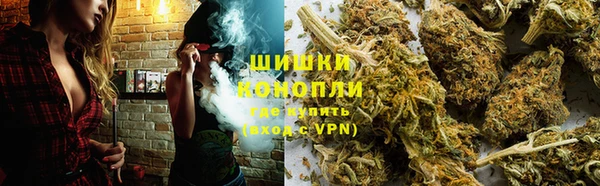 ПСИЛОЦИБИНОВЫЕ ГРИБЫ Карталы
