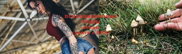 ПСИЛОЦИБИНОВЫЕ ГРИБЫ Карталы