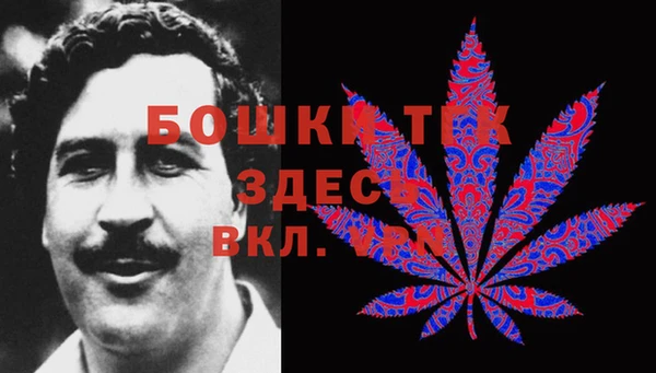 эйфоретик Касимов