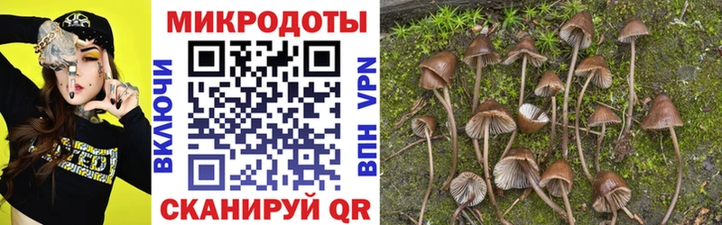 Купить закладки  Орлов  Галлюциногенные грибы мухоморы 