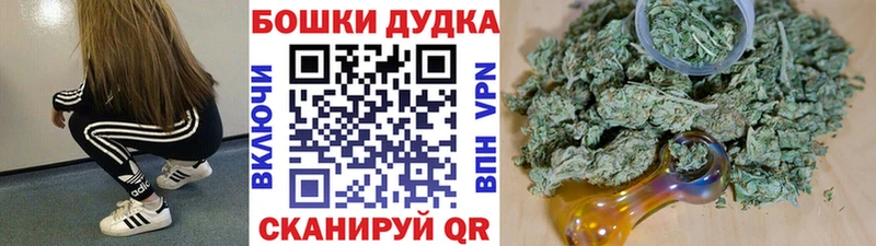 Конопля Bruce Banner  Купить закладки  Орлов 